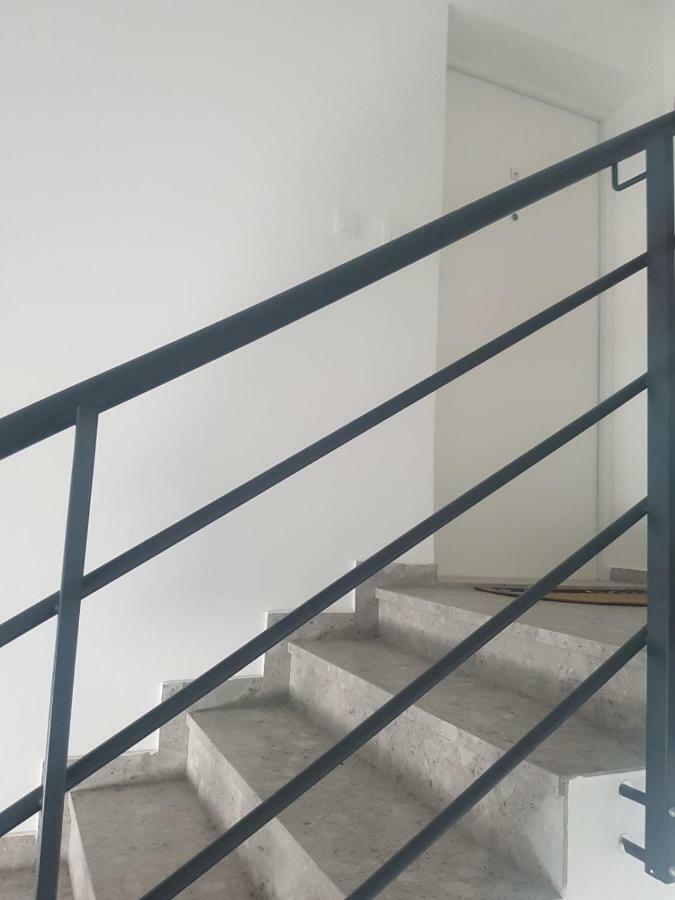 Apartment Hera With Balcony And Free Parking 扎达尔 外观 照片
